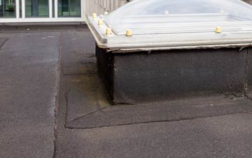 disadvantages of Ponts Green flat roofs